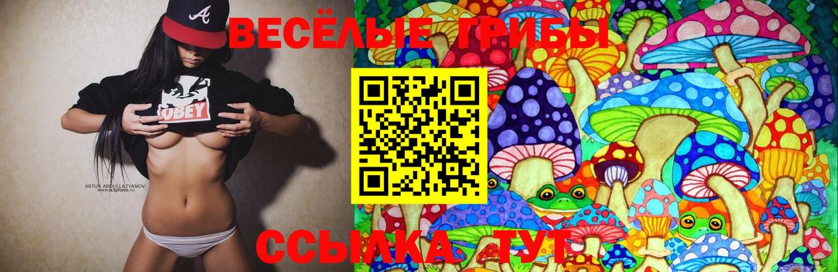 Балтийск  Псилоцибиновые грибы GOLDEN TEACHER  Псилоцибиновые грибы Magic Shrooms  Вход с VPN 