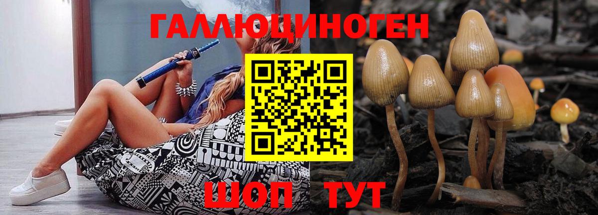 Псилоцибиновые грибы прущие грибы Балтийск